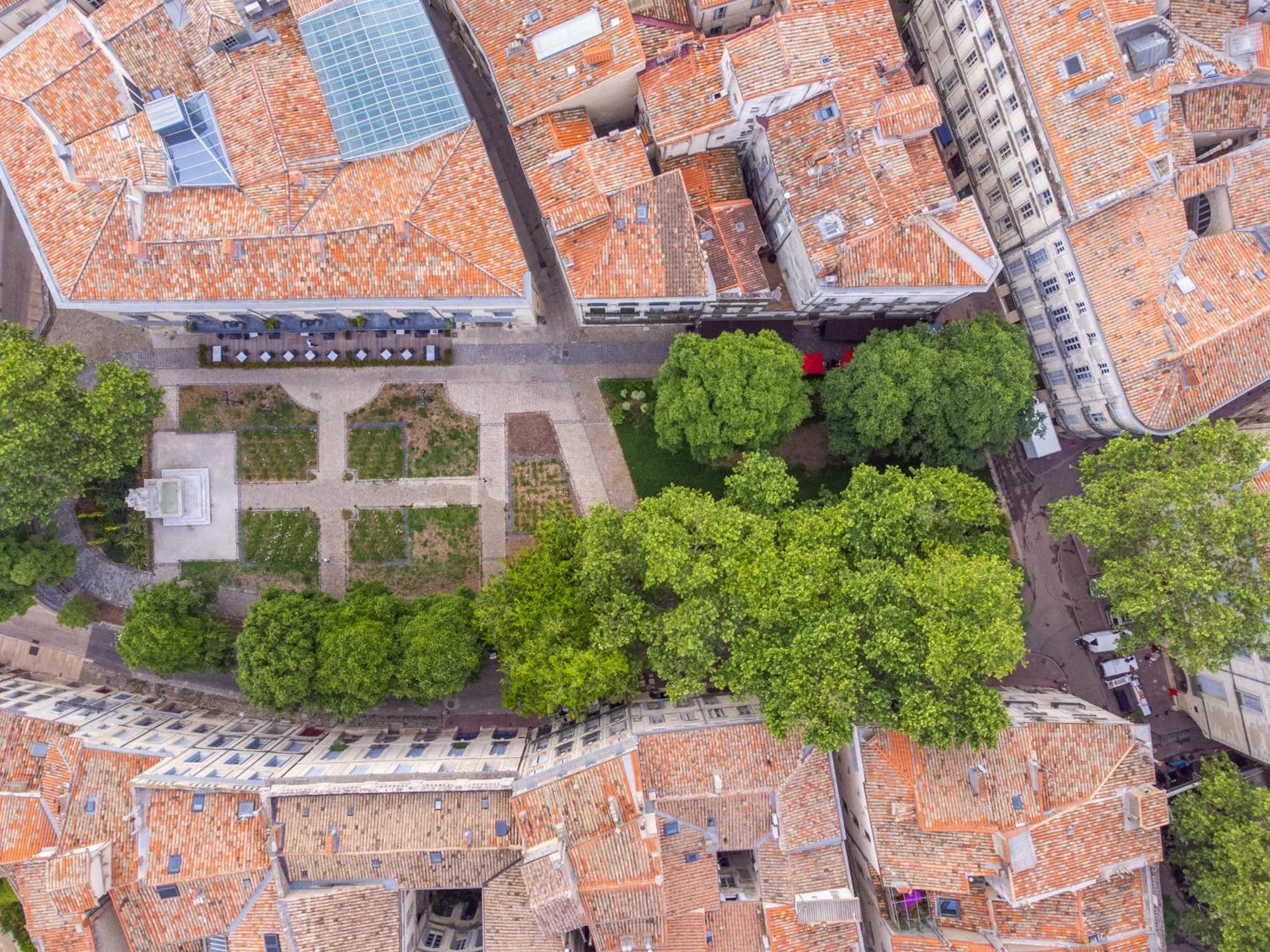 Le Platane De La Canourgue Montpellier Bagian luar foto