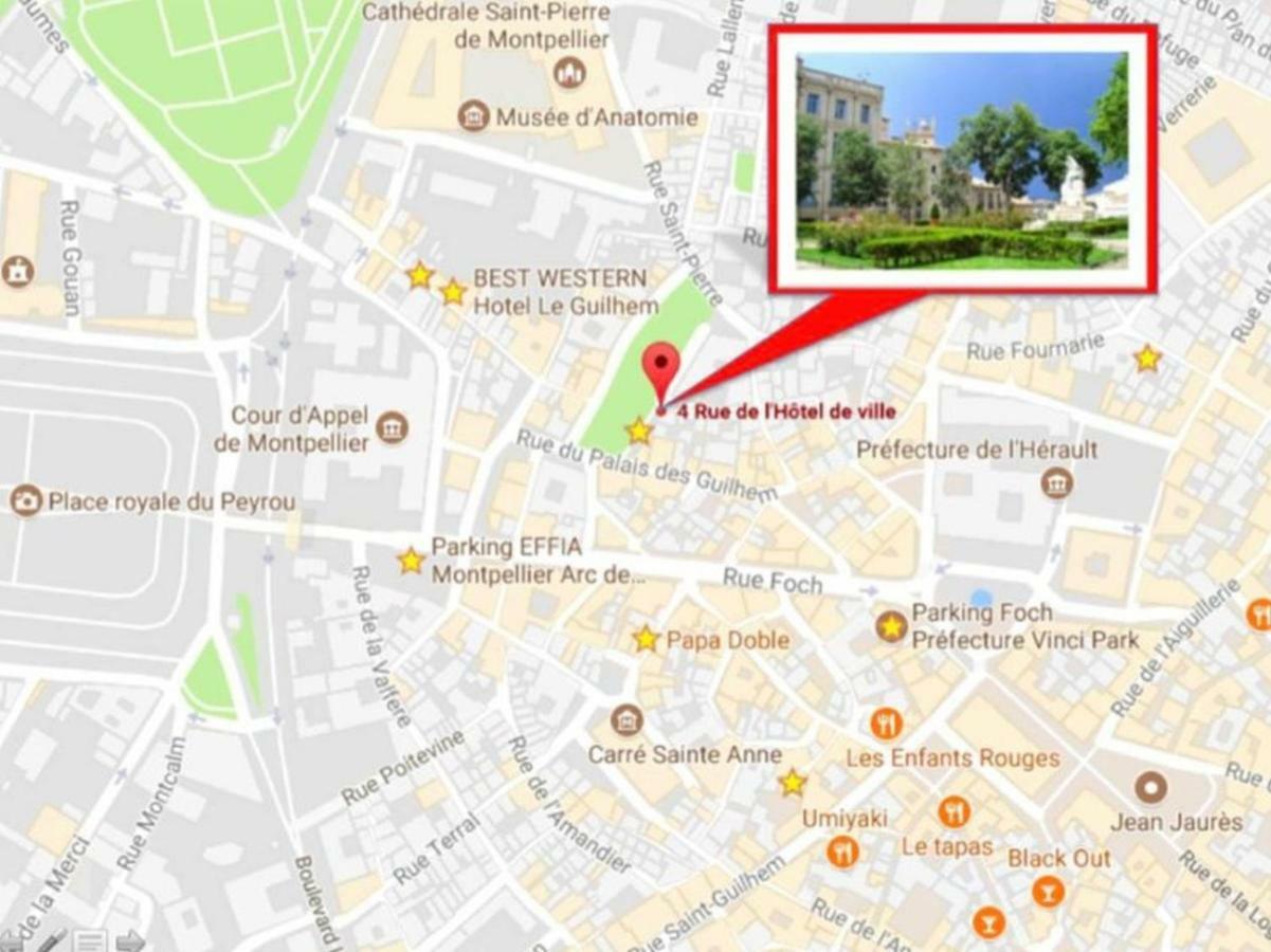 Le Platane De La Canourgue Montpellier Bagian luar foto